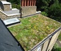 Flat Green Roof