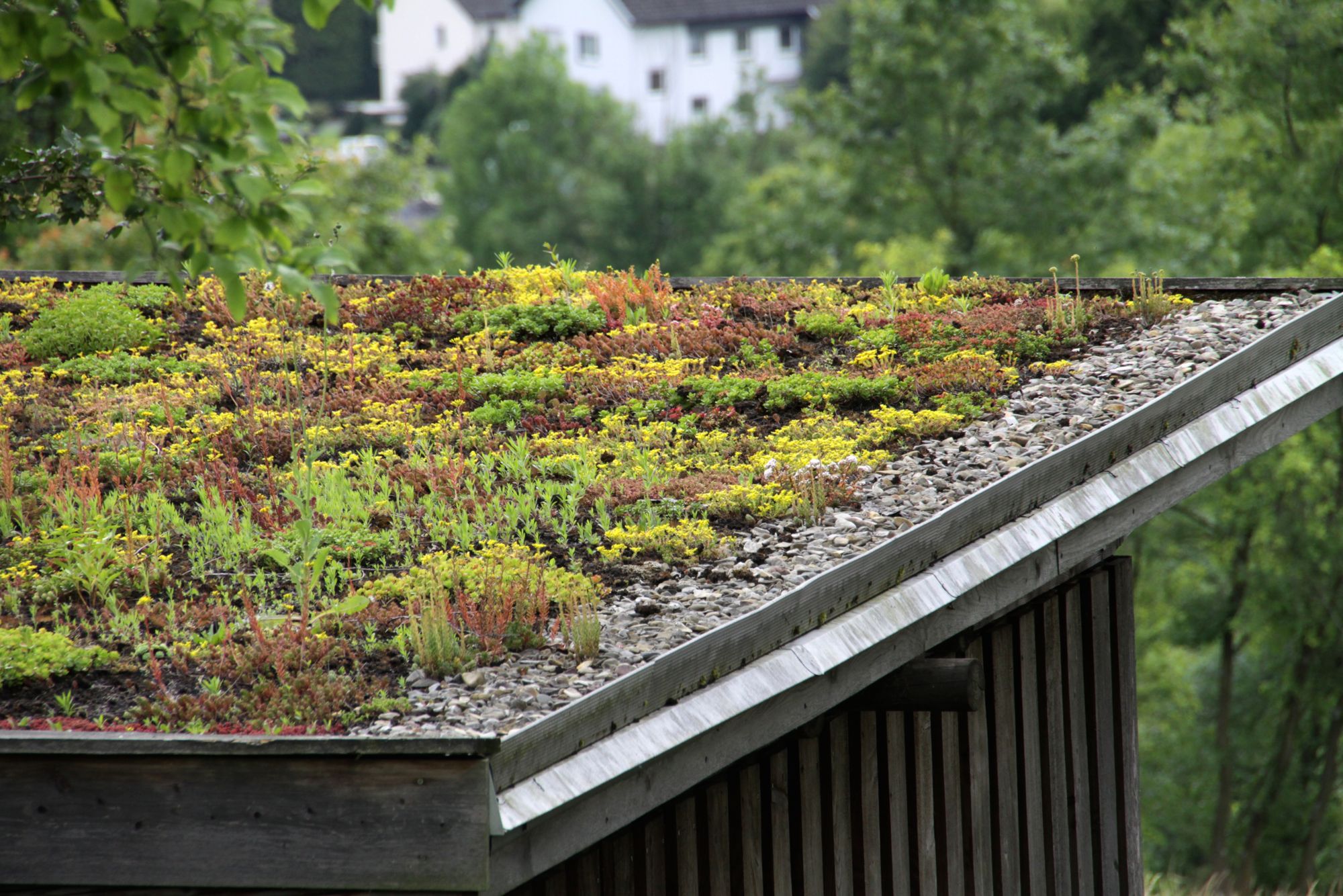 green-roof-installation