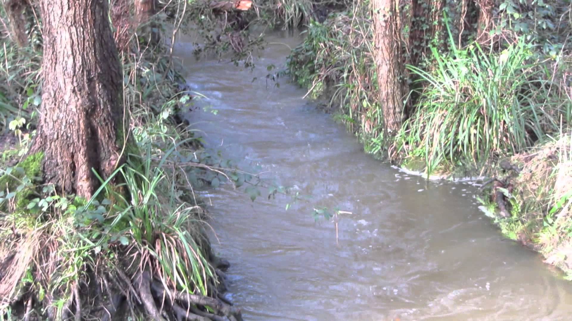 waterlooville hermitage stream